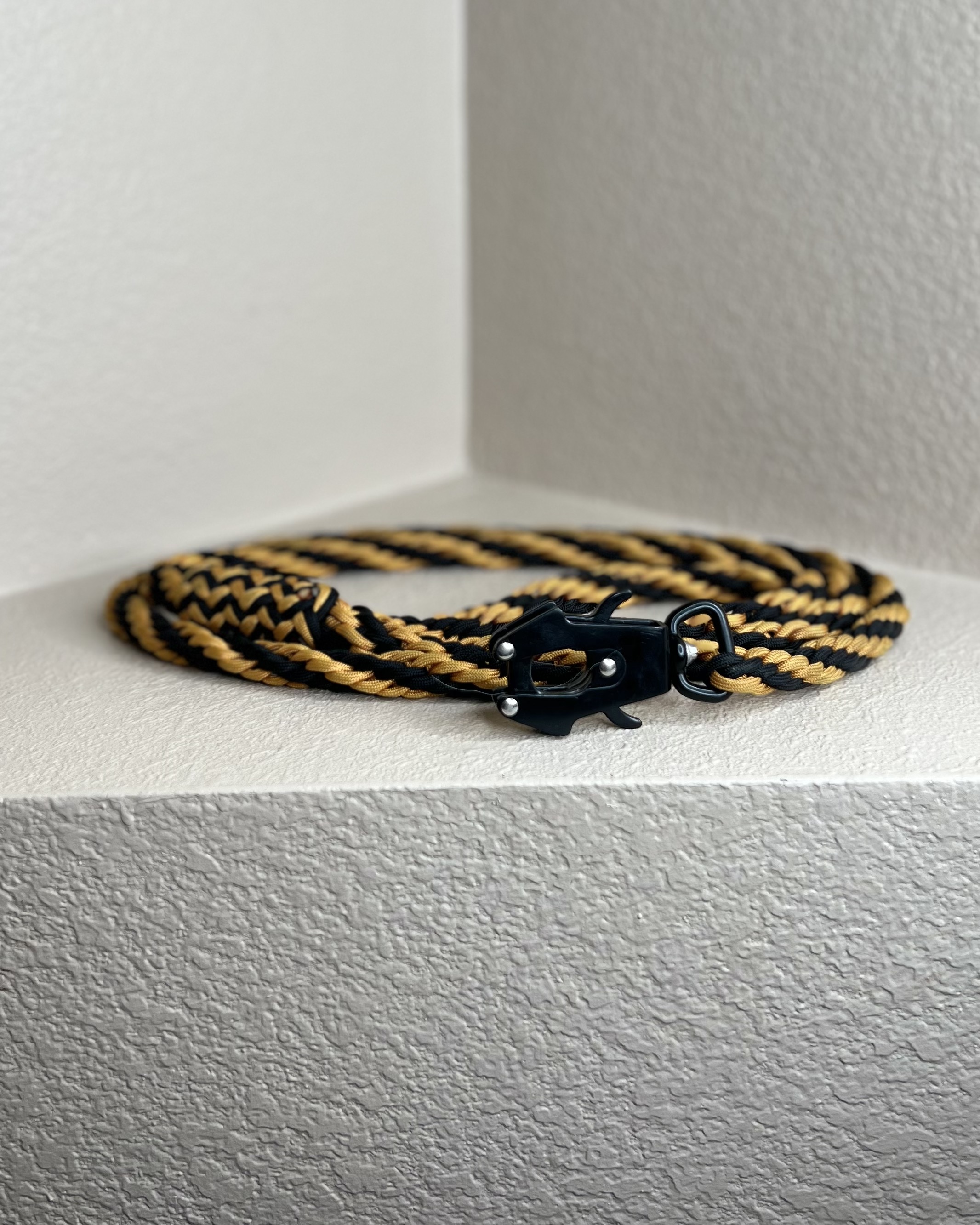 leash_caramel_4