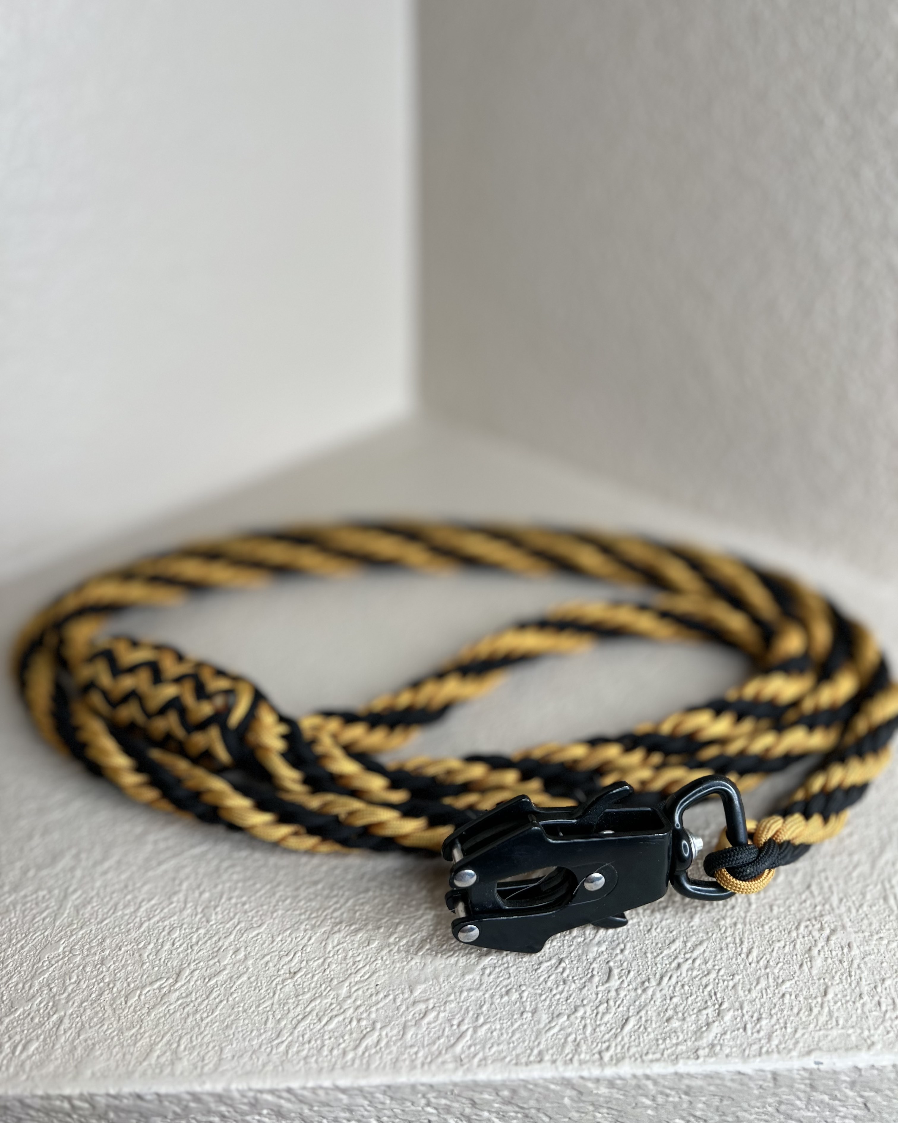 leash_caramel_5