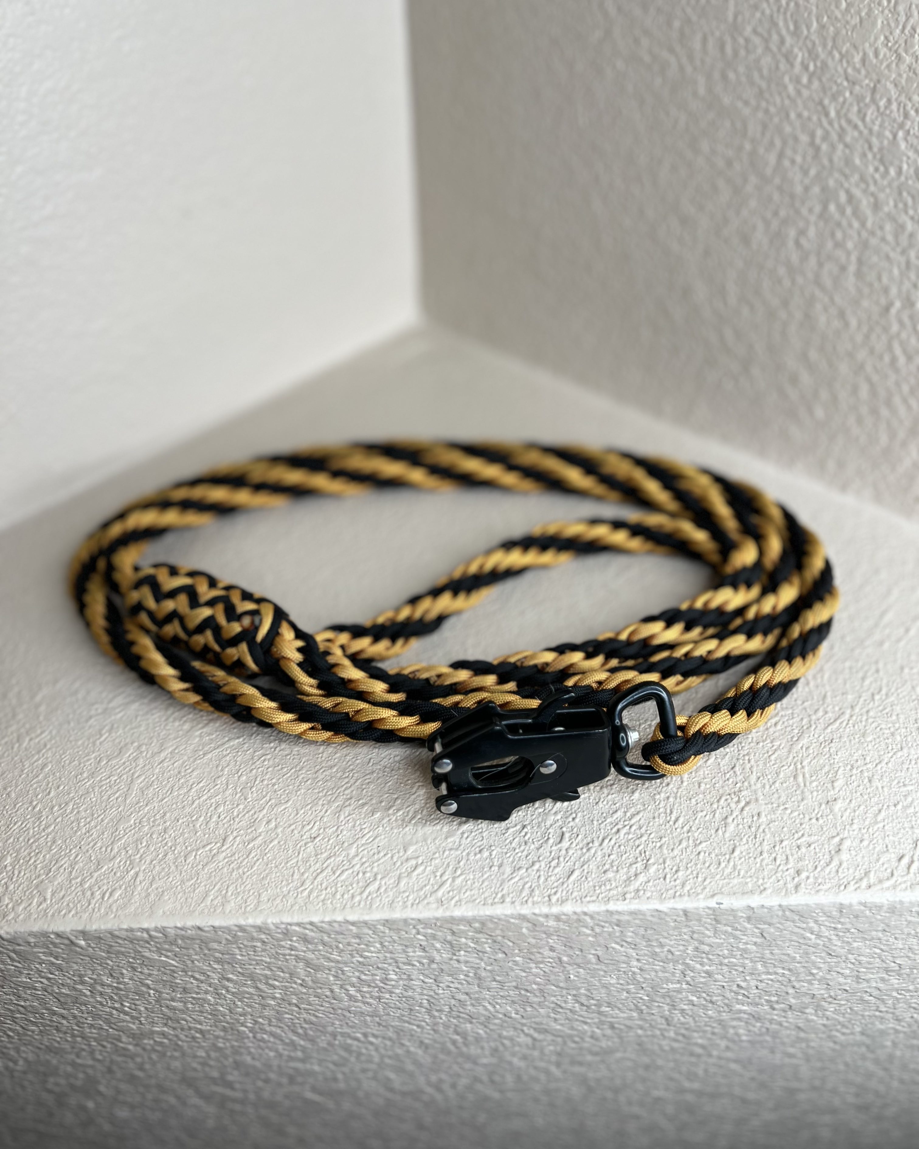 leash_caramel_6